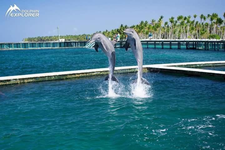 Caribbean And Sun Punta Cana Ngoại thất bức ảnh